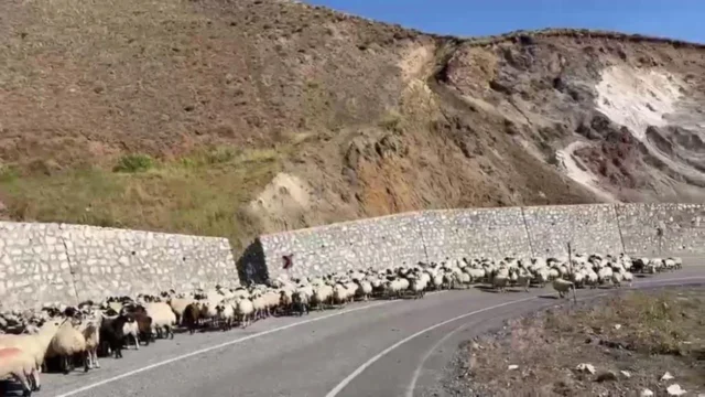 As the Weather Turns Colder Nomadic Herders Leave the Highlands