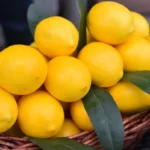 HOW TO STORE LEMONS THERE IS A METHOD TO KEEP THEM FRESH