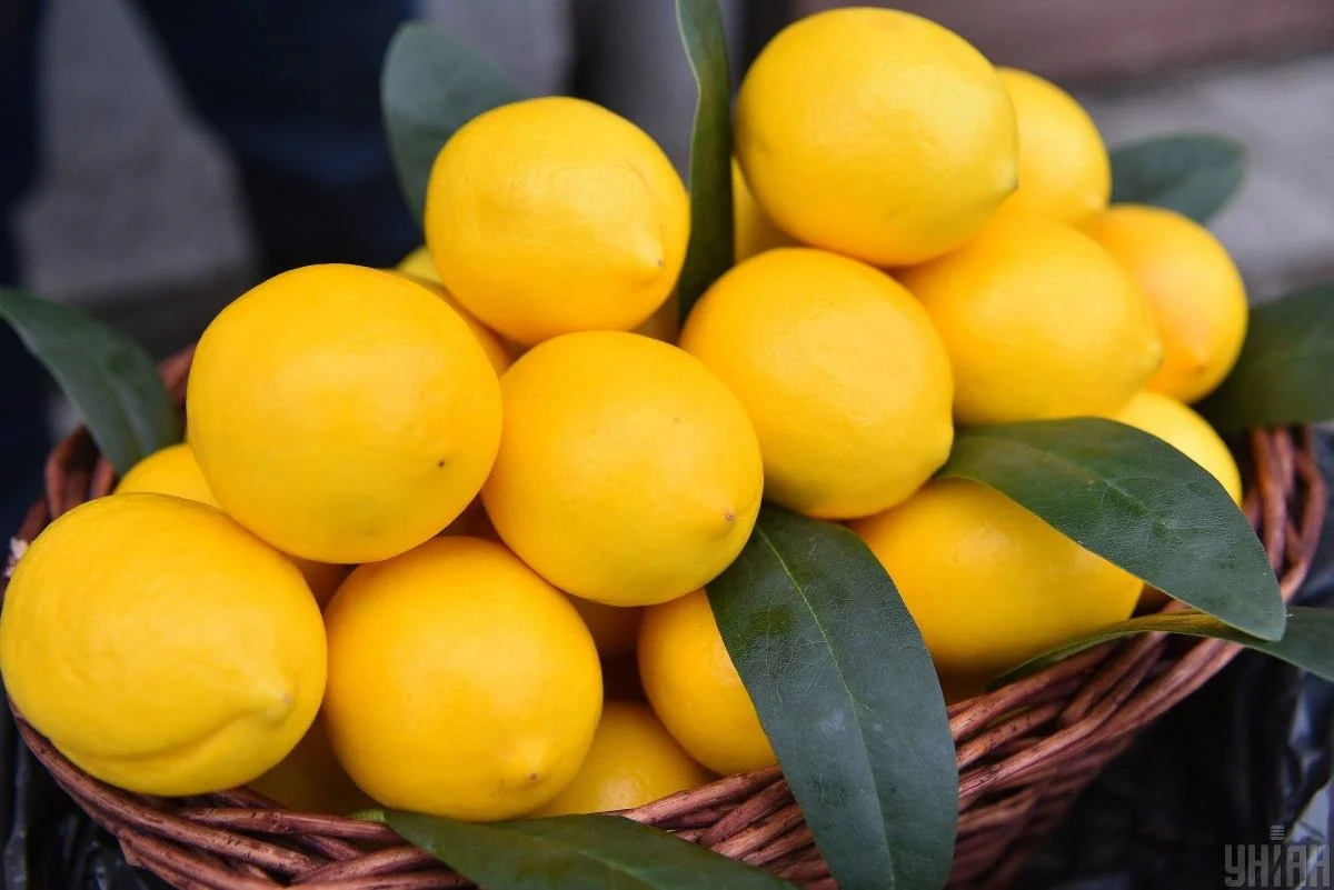 HOW TO STORE LEMONS THERE IS A METHOD TO KEEP THEM FRESH