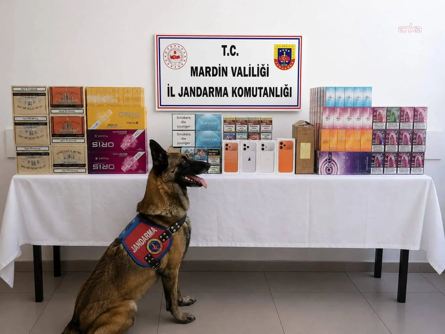 ILLICIT TOBACCO AND CIGARETTES SEIZED IN SMUGGLING OPERATION