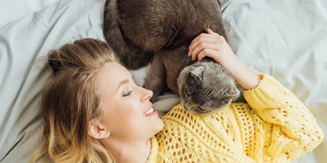 RESEARCHERS EXAMINED THE BOND BETWEEN HUMANS AND DOMESTIC CATS